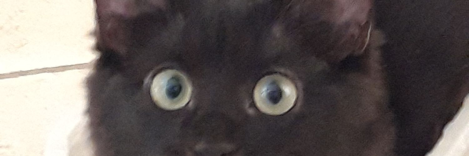 AndCo0's profile banner image