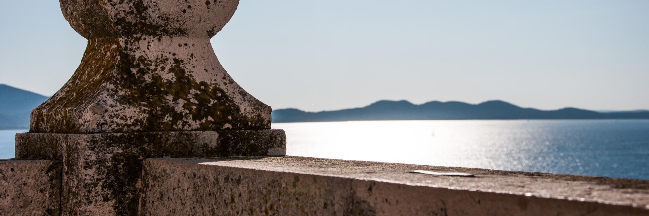 Martin Holland banner