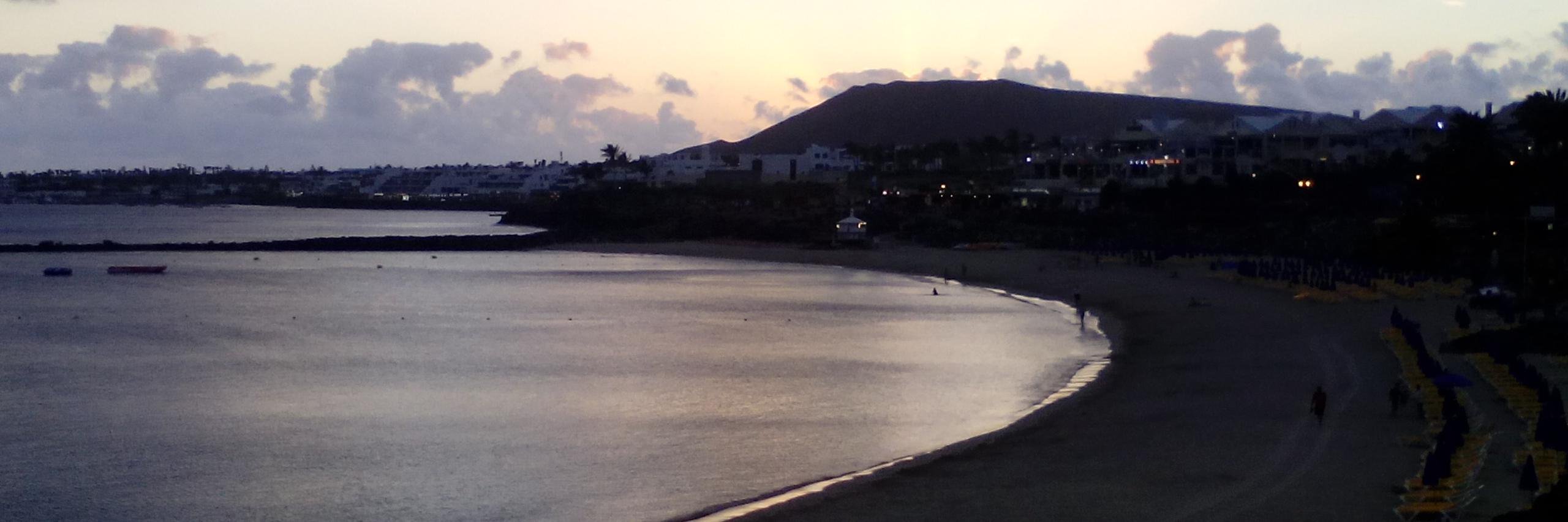 Roberto Castro banner