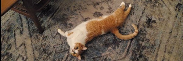 roostertail Profile Banner