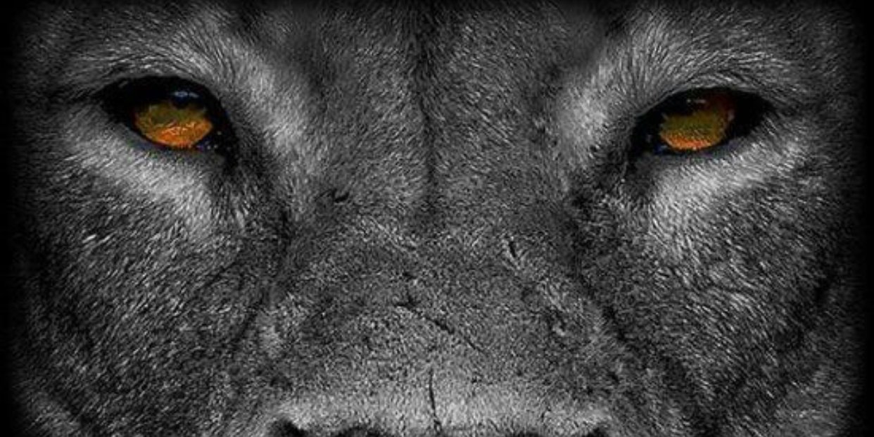 GoingLoSo's profile banner image