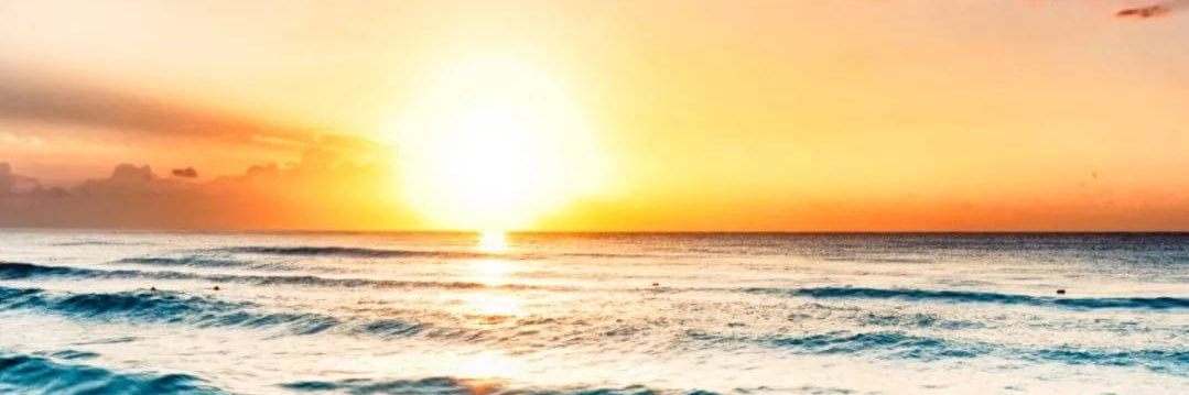 Shameka Washington banner