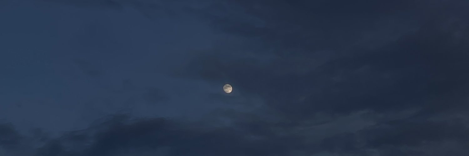 audraeeeeee's profile banner image