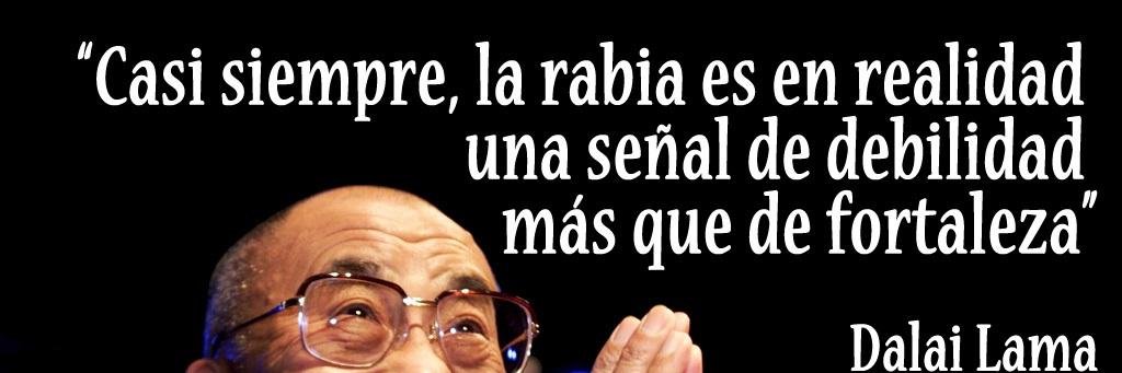 El_Opinador, 🥑, 🐝. banner