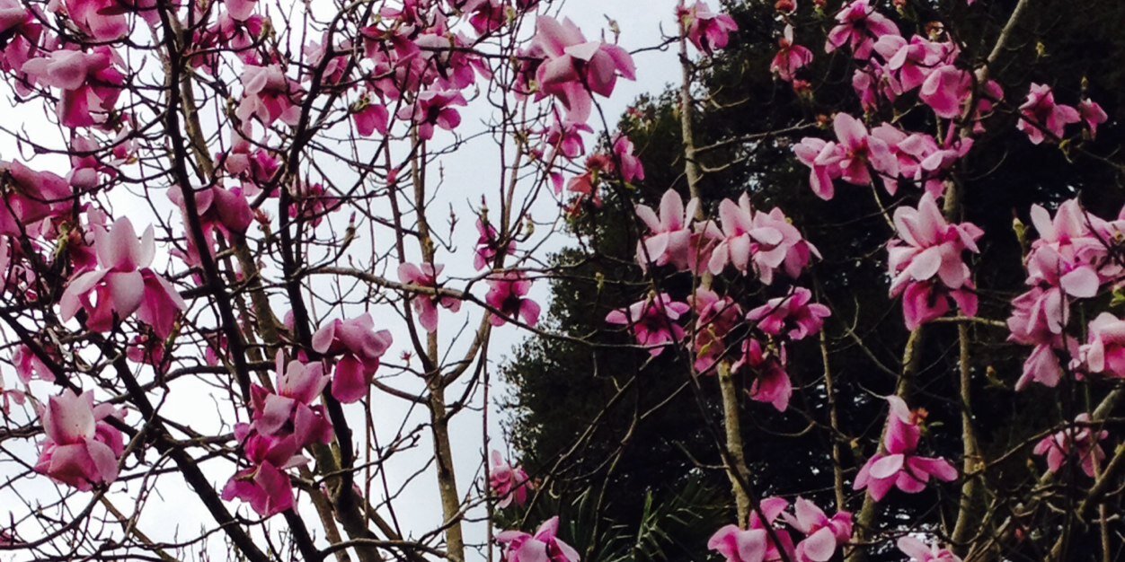 jodezpink's profile banner image