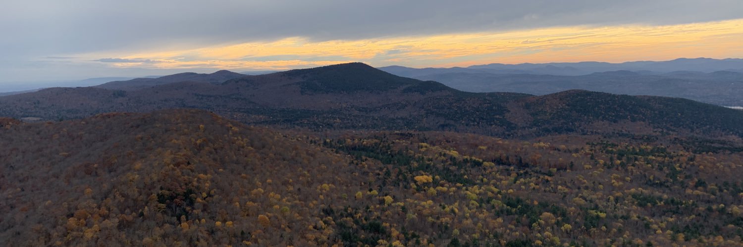 Young C.O. fan banner