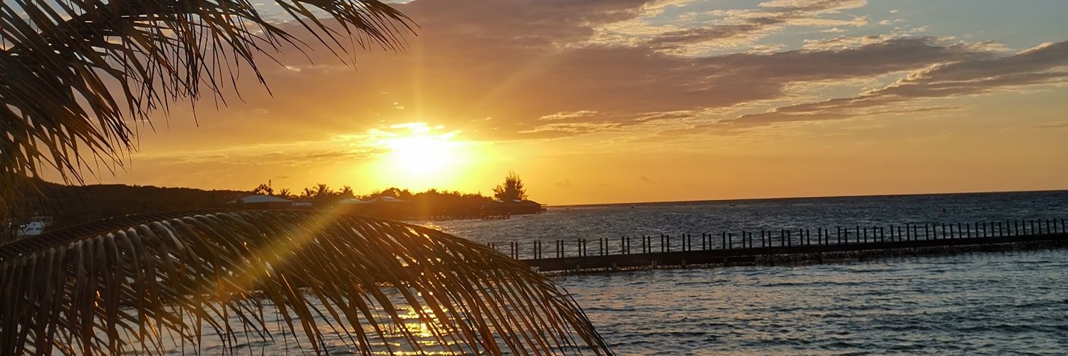 Cinndy____'s profile banner image