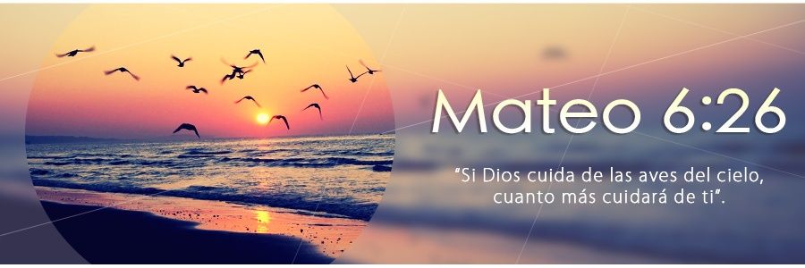 luisgalindez's profile banner image