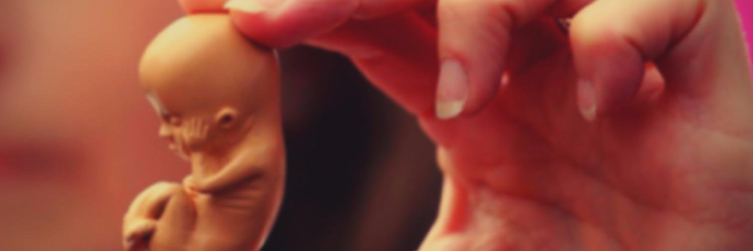 JovenProvidaEc's profile banner image