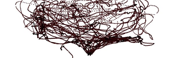 MiladMzdh Profile Banner