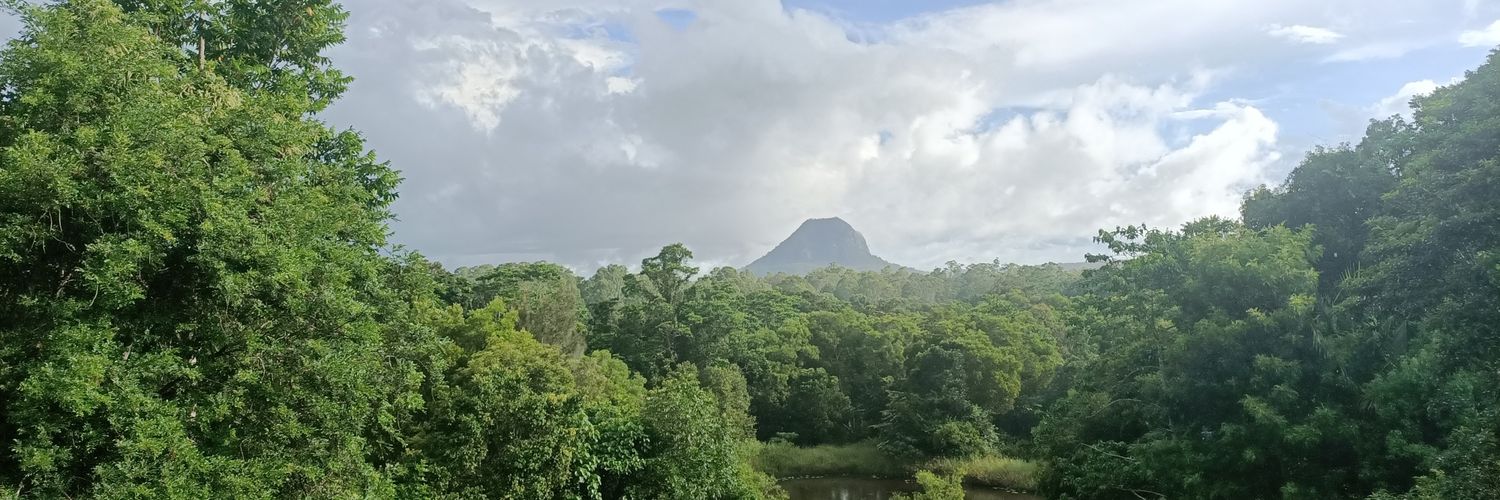 flower person banner
