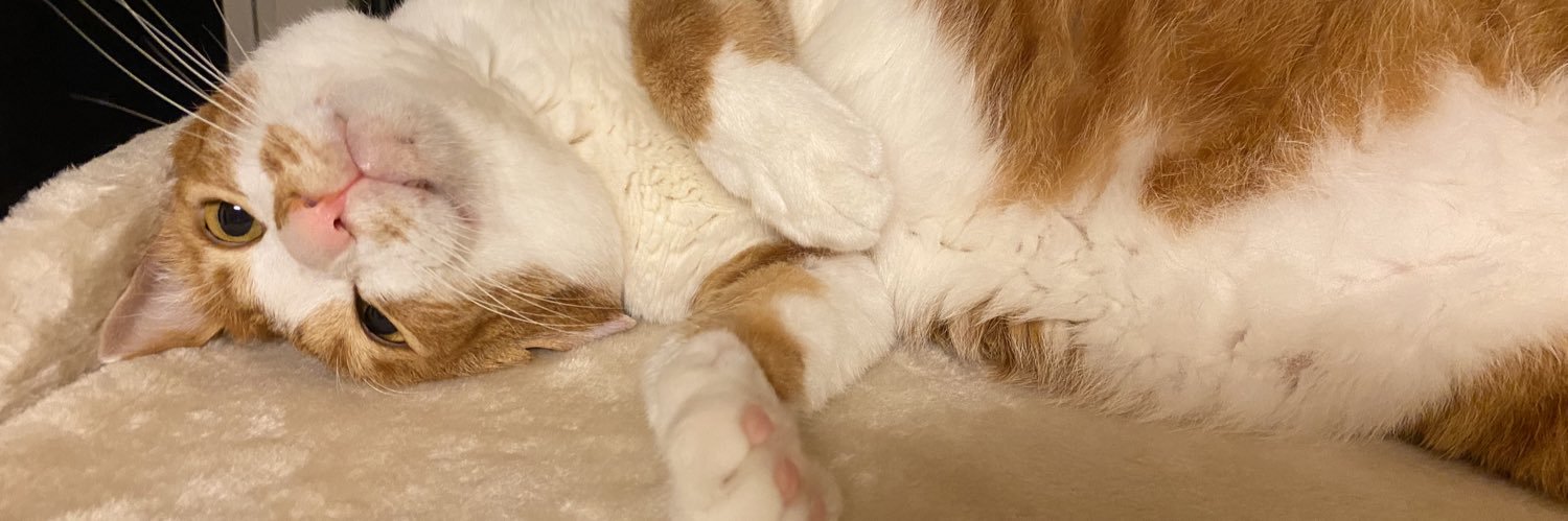 0banyank0's profile banner image