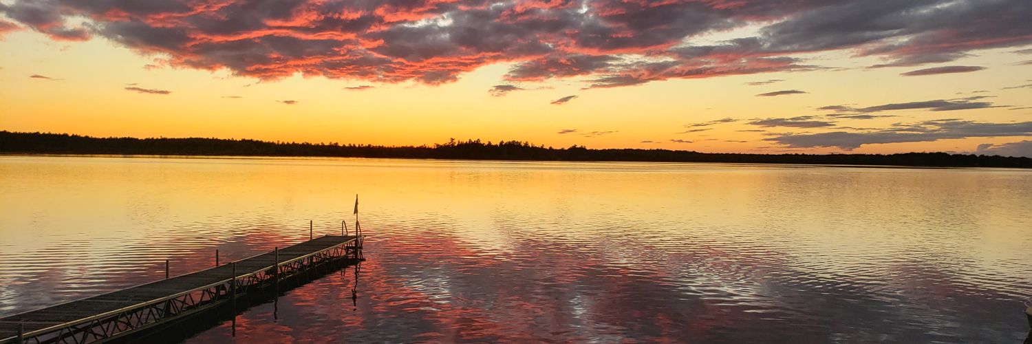 aileendonnelly's profile banner image