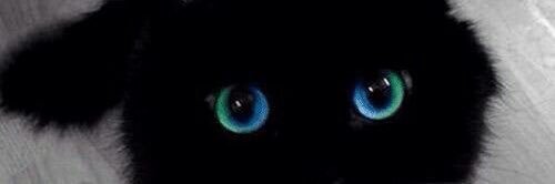 Michael71585128's profile banner image