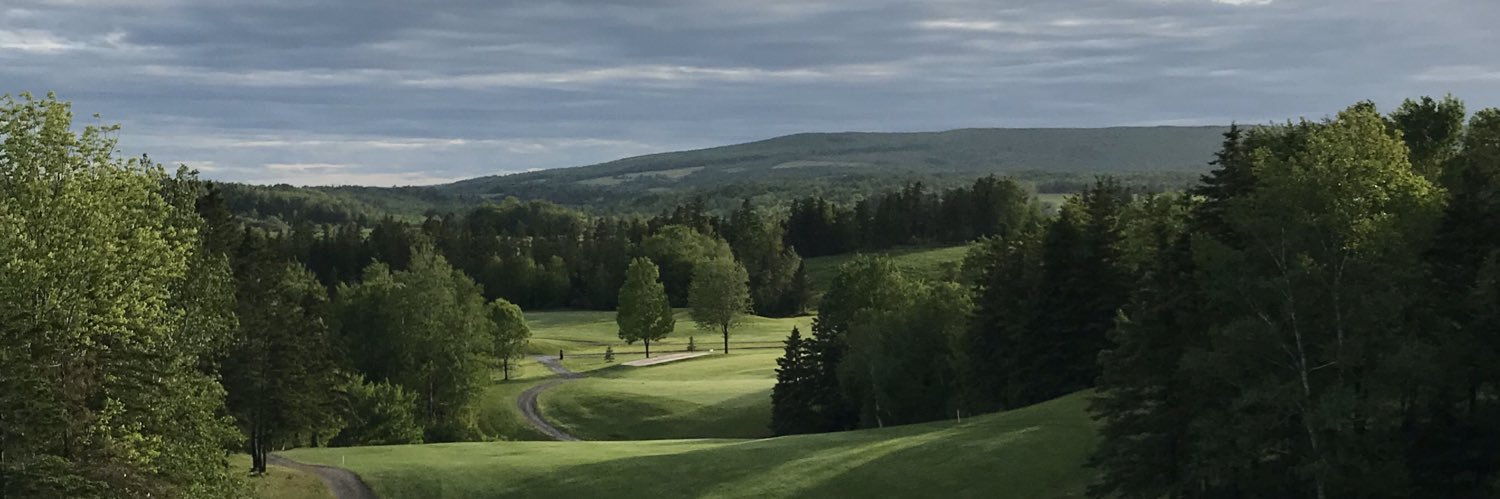 Brian Affleck banner