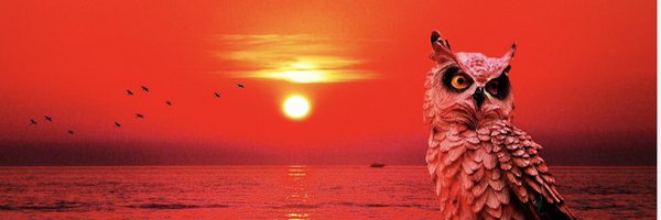 Hashikonokenja Profile Banner