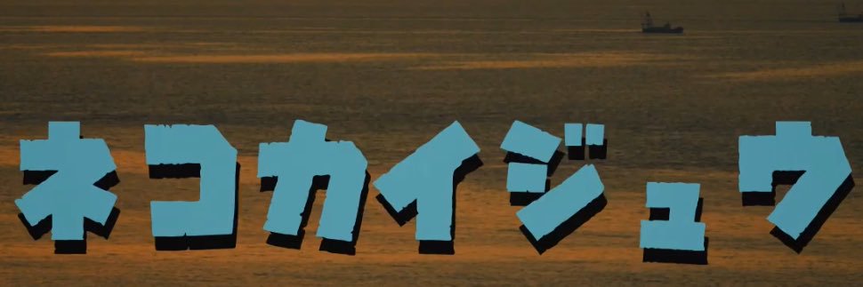 猫怪獣ノラ's banner