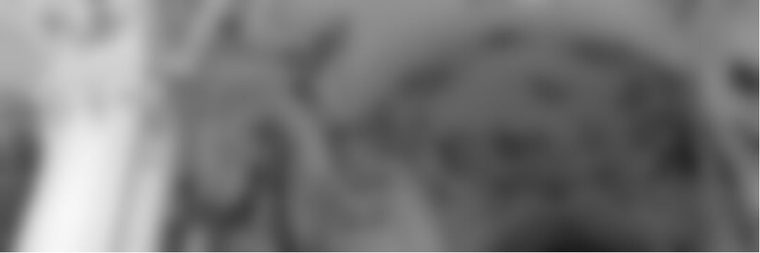 sygarette's profile banner image