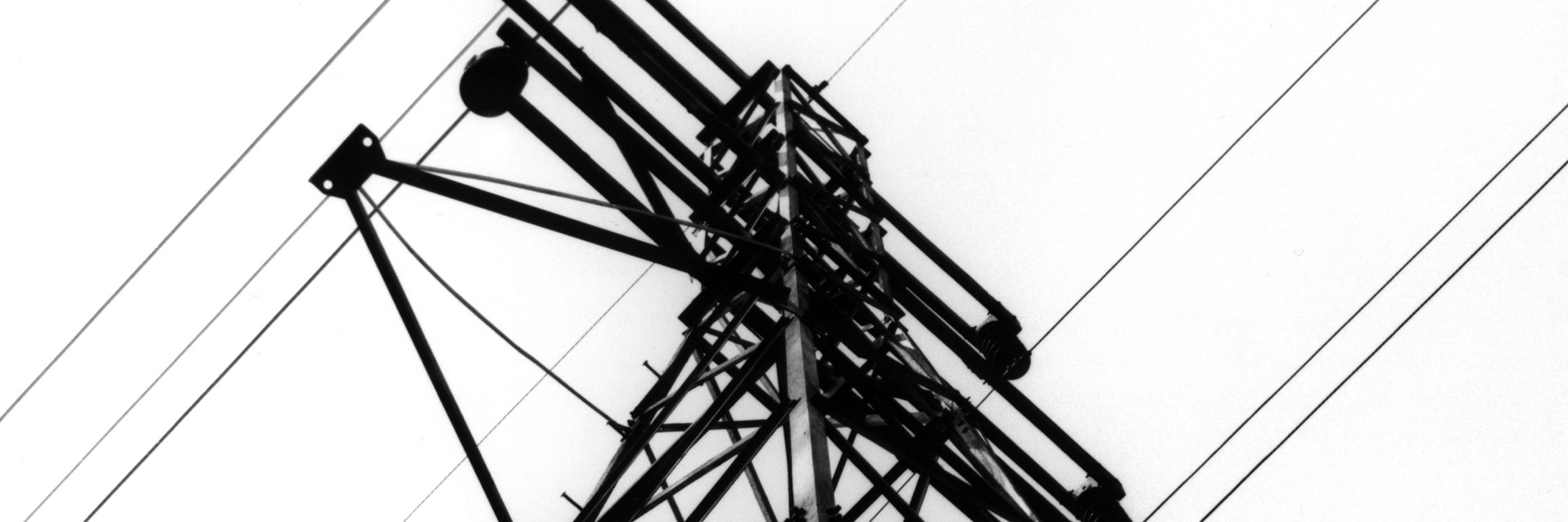 Travis Swiger banner