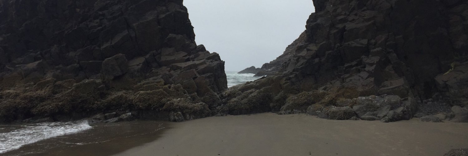 Wolf Spritzer banner