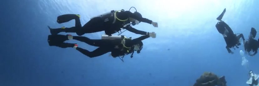 월~재키 🐾 banner