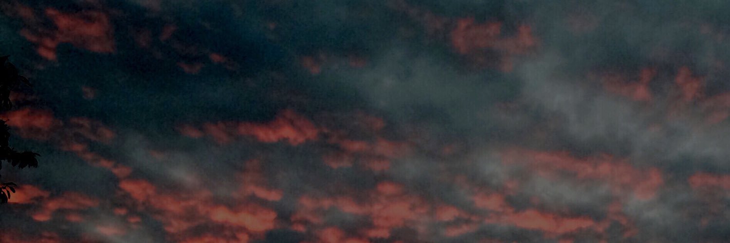namelesslotti's profile banner image