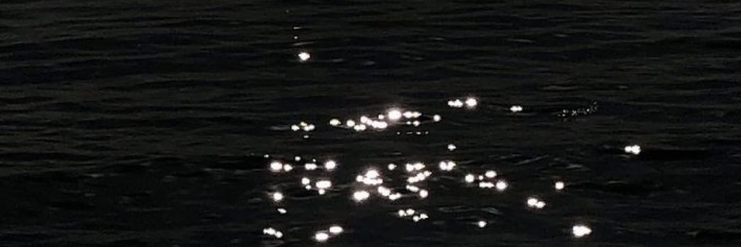 spcymrgrta's profile banner image