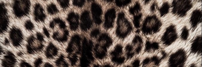 tayylll's profile banner image