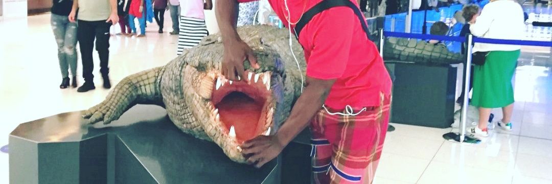 Callis California 💙 banner