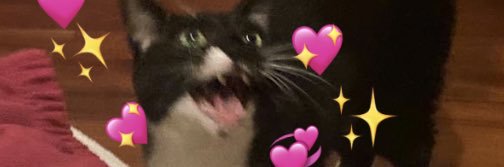 _altavaa_ banner