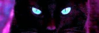 katyabird10's profile banner image