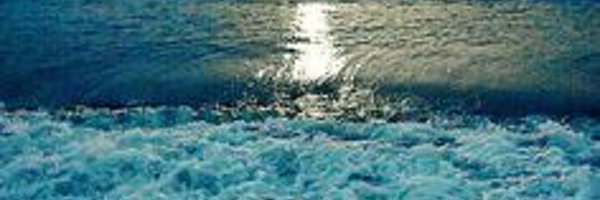 Lua123_x Profile Banner