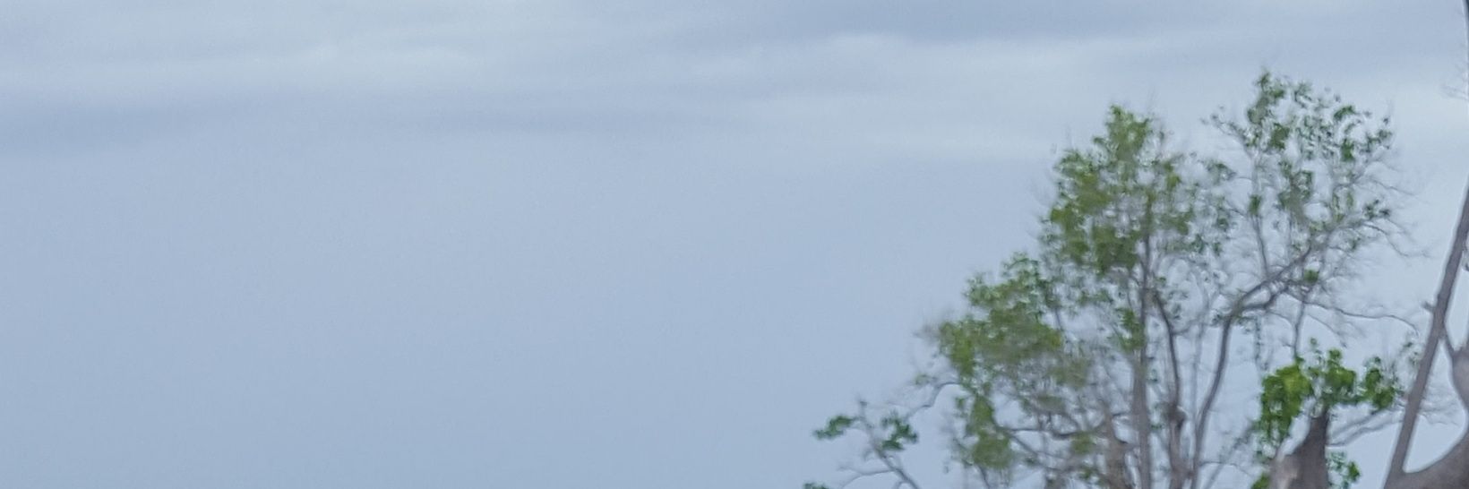 dearktv's profile banner image