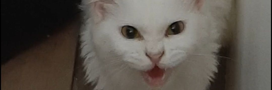 Caammssss's profile banner image
