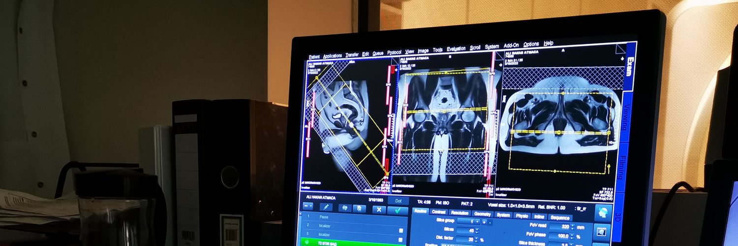 Hamida Hussain banner