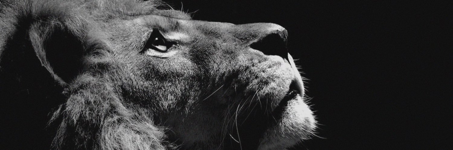 vnbXo's profile banner image