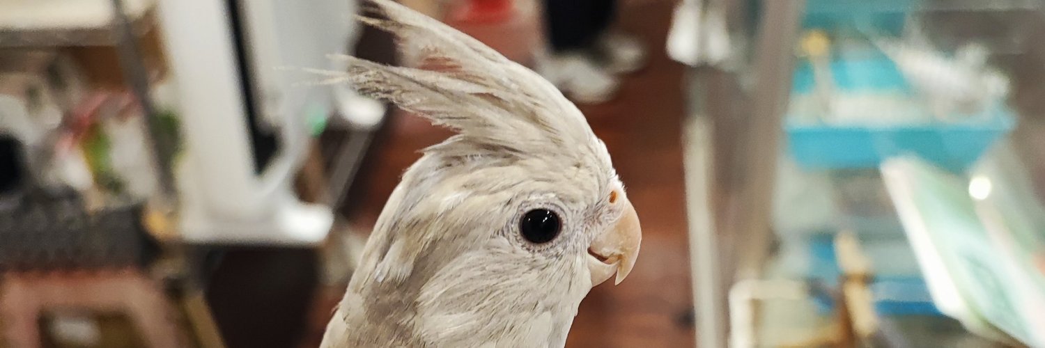 えふ🐣 banner