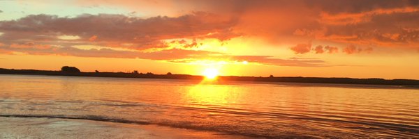 JustYourAvgJoe_ Profile Banner