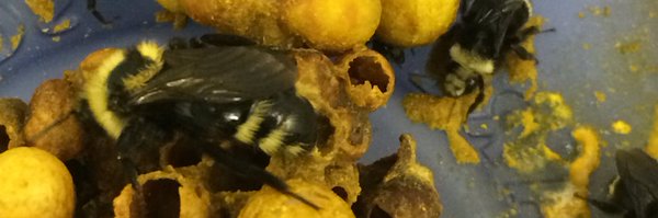 patricklhme Profile Banner