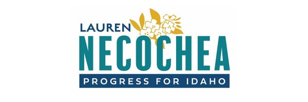 Rep. Lauren Necochea Profile Banner