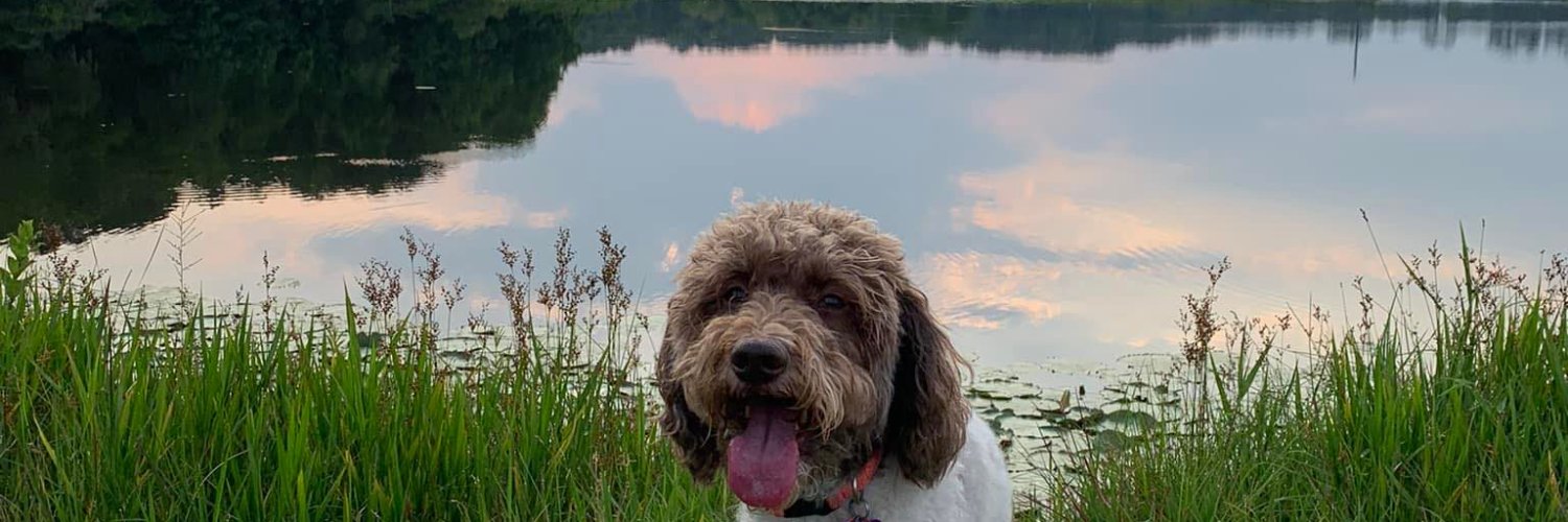 Mackenzie Hart, PhD banner
