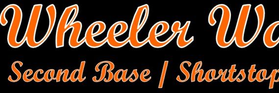 Wheeler Walker Jr. banner