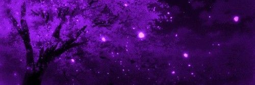 sol3ox's profile banner image