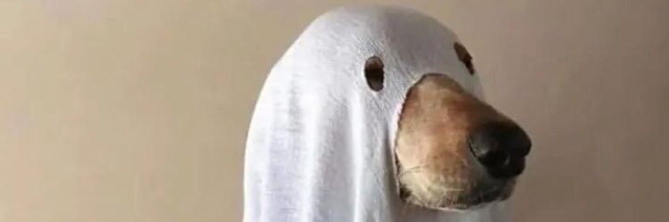 virdiaz00's profile banner image