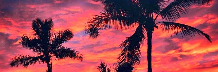 Jchzn's profile banner image