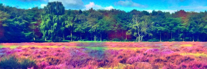 JhonyRda's profile banner image