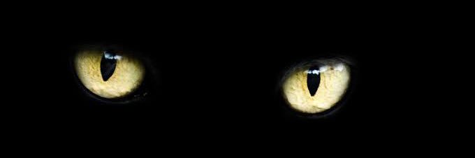 MooBaa13's profile banner image