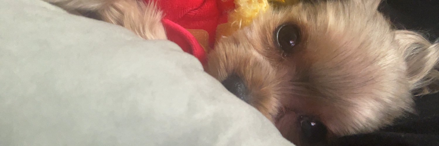 foco_bassisted's profile banner image