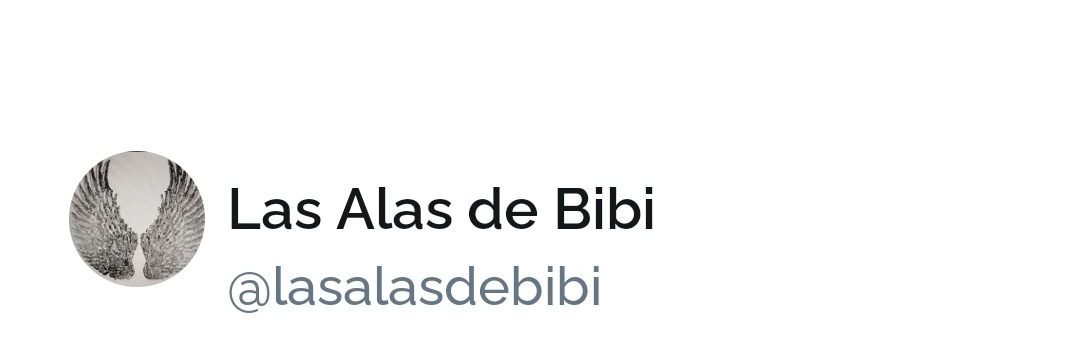 lasalasdebibi's profile banner image