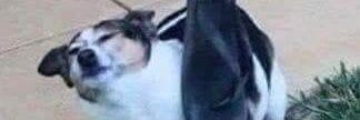 B My Day /อ่านพินก่อนสั่ง banner